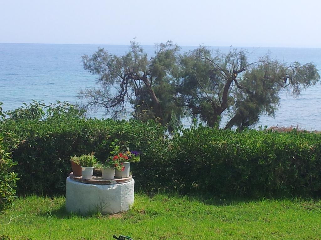 Beach Bungalows Kypseli Phòng bức ảnh